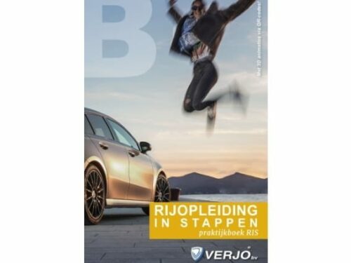 RIS method practice book